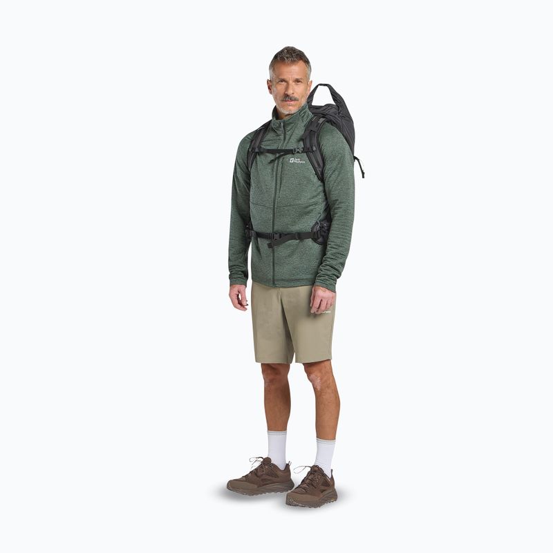Încălțăminte de trekking pentru bărbați Jack Wolfskin Terraquest Texapore Low gecko bear 15