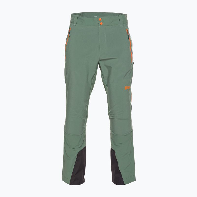 Jack Wolfskin pantaloni de trekking pentru bărbați Alpspitze Tour hedge verde 6