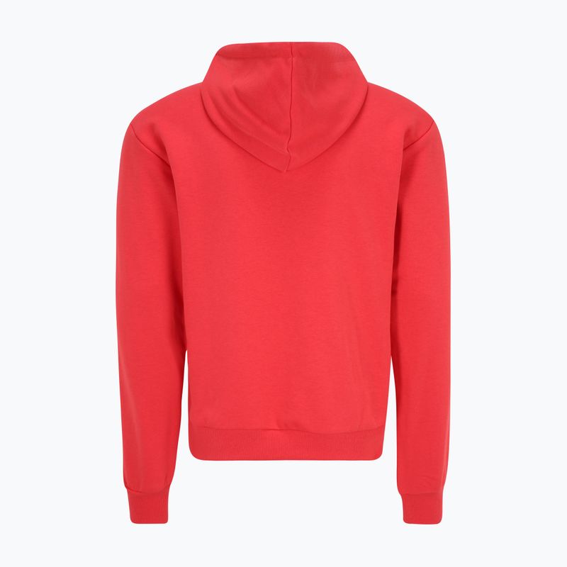 Bluză pentru bărbați FILA Bengel Regular Hoody cayenne 6