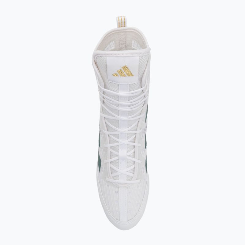Încălțăminte de box adidas Box Hog 4 cloud white/collegiate green/core black 5
