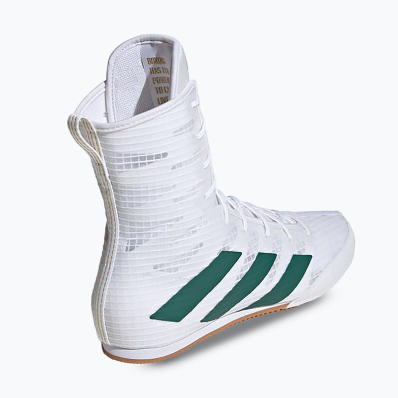 Încălțăminte de box adidas Box Hog 4 cloud white/collegiate green/core black 2