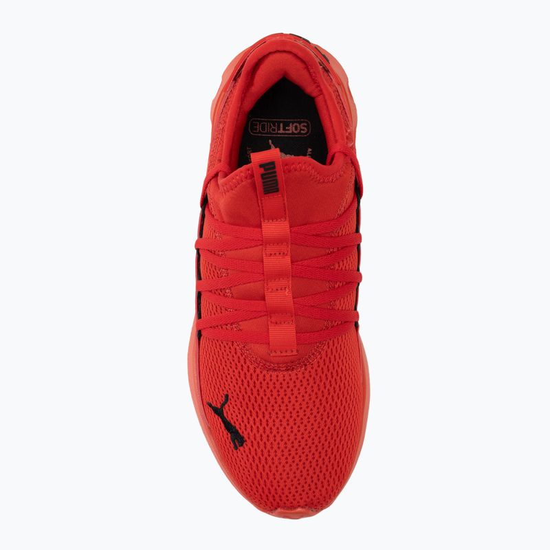 Încălțăminte de alergare PUMA Softride Carson Fresh for all time red/puma black 5