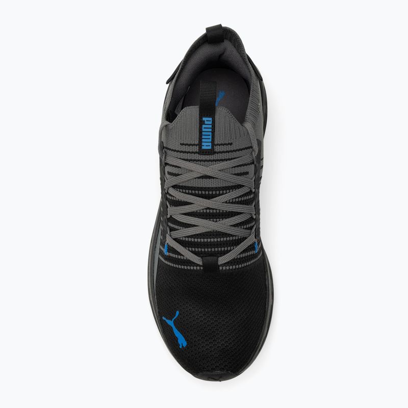 Încălțăminte de alergare PUMA Softride Symmetry Fuzion puma black/cool dark gray/puma team royal 5