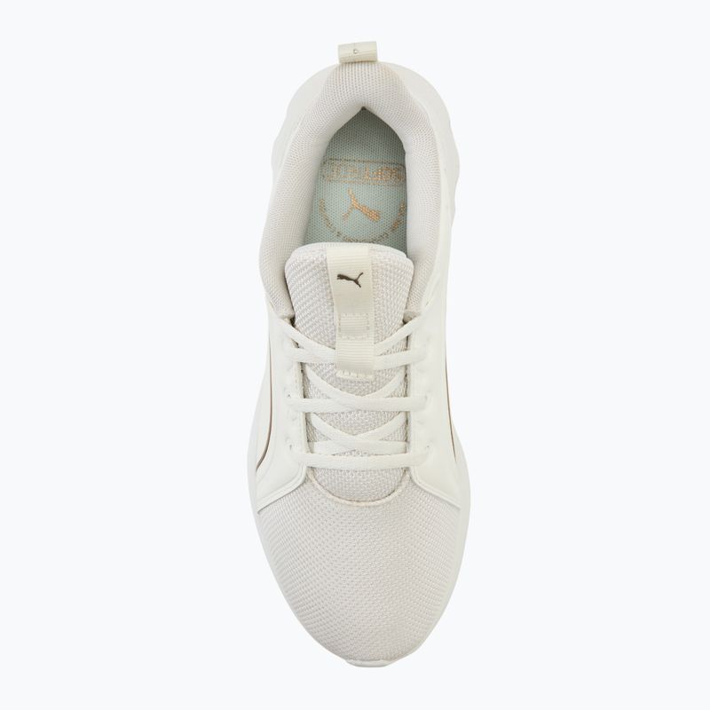Încălțăminte de alergare PUMA Softride Carson warm white/puma gold