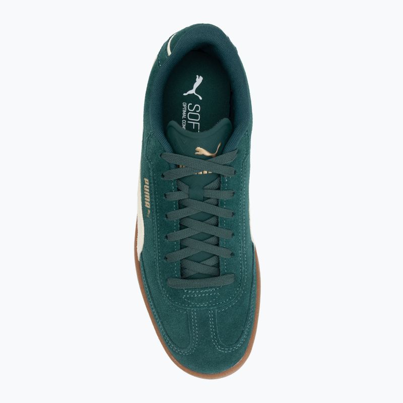 Încălțăminte pentru bărbați  PUMA Club II Era Suede dark myrtle/alpine snow/gum 5