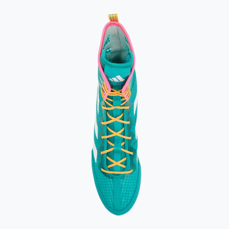 Încălțăminte de box adidas Box Hog 4 turquoise 5