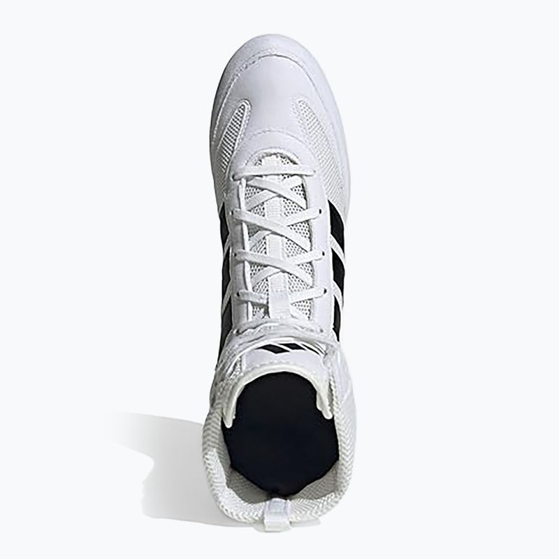 Încălțăminte de box adidas Box Hog Classic white 5