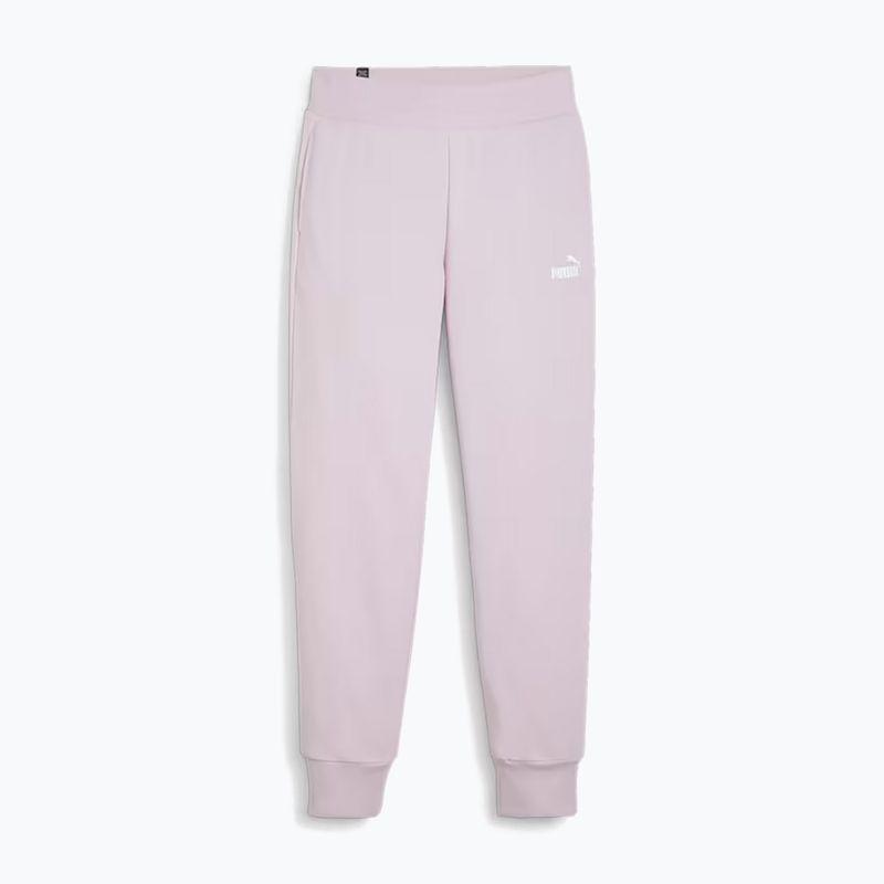 Pantaloni pentru femei PUMA ESS Sweatpants TR Cl (S) grape mist
