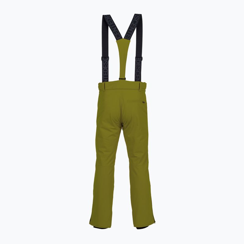 Pantaloni de schi pentru bărbați Descente Roscoe olive green 2