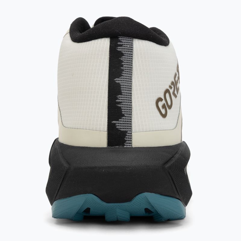 Încălțăminte de alergare pentru bărbați ASICS Gel-Trabuco MT GTX Clay Canyon/Spice Latte 6