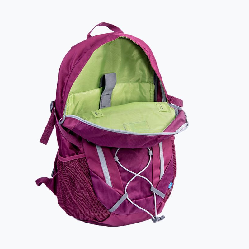 Rucsac turistic Karrimor Metro 30 l boysenberry 6