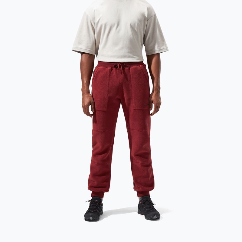 Pantaloni pentru bărbați Berghaus Prism syrah 4