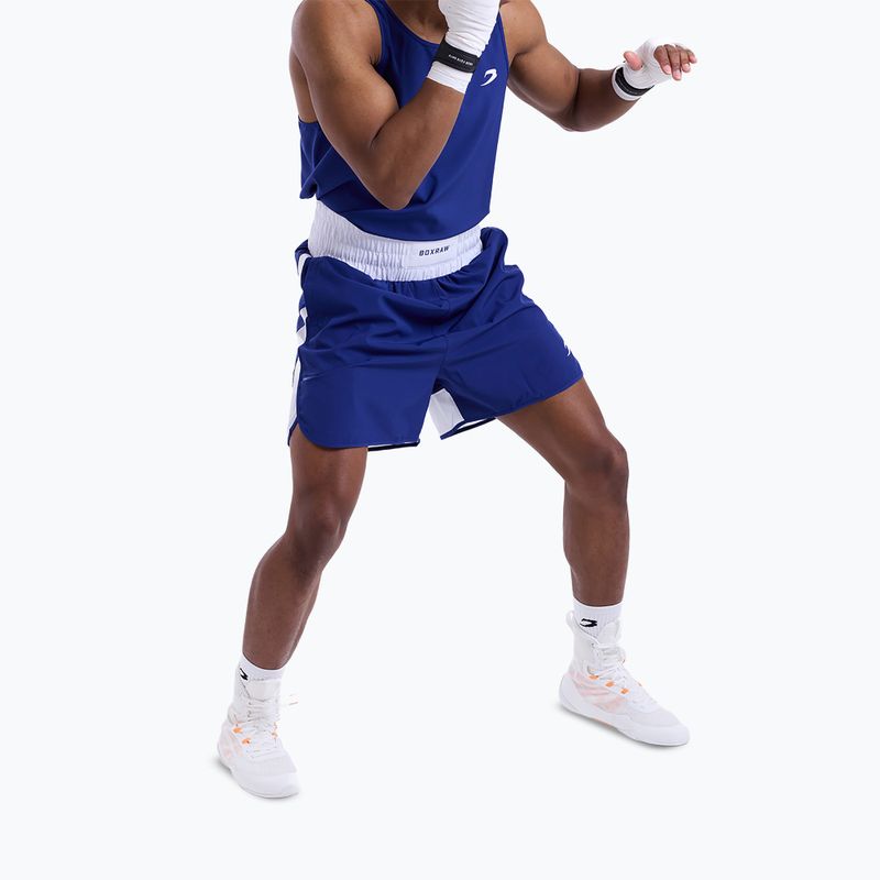 Pantaloni scurți de antrenament pentru bărbați Boxraw Stevenson V2 blue/white 5