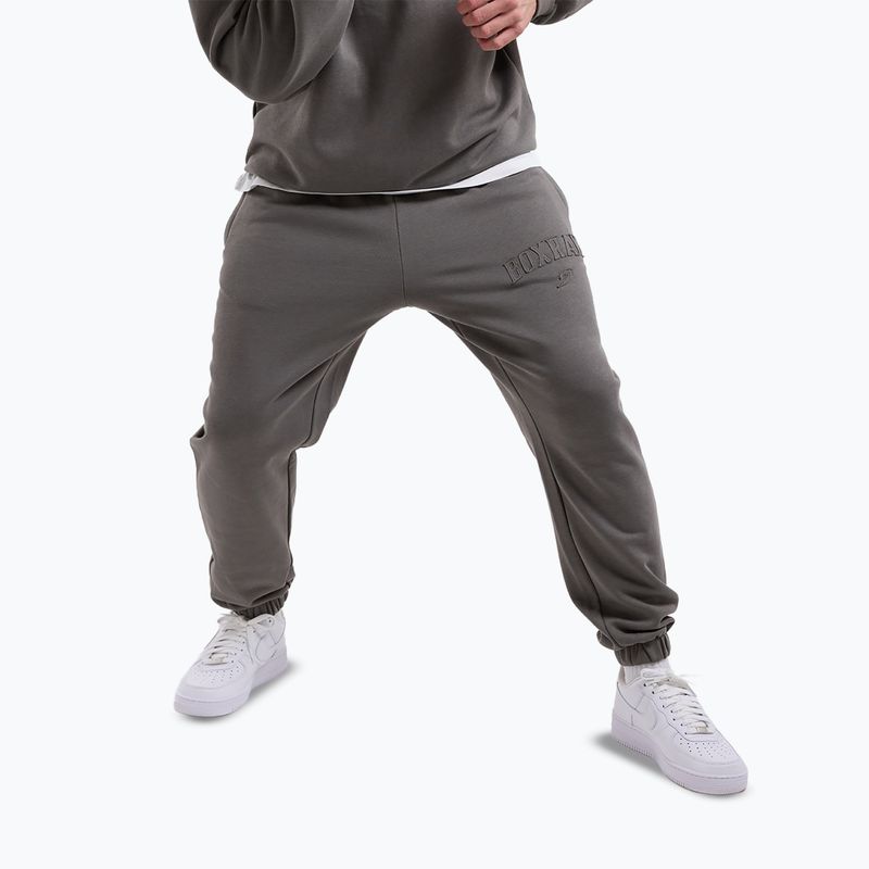 Pantaloni pentru bărbați Boxraw East Street Bottoms distressed grey 4