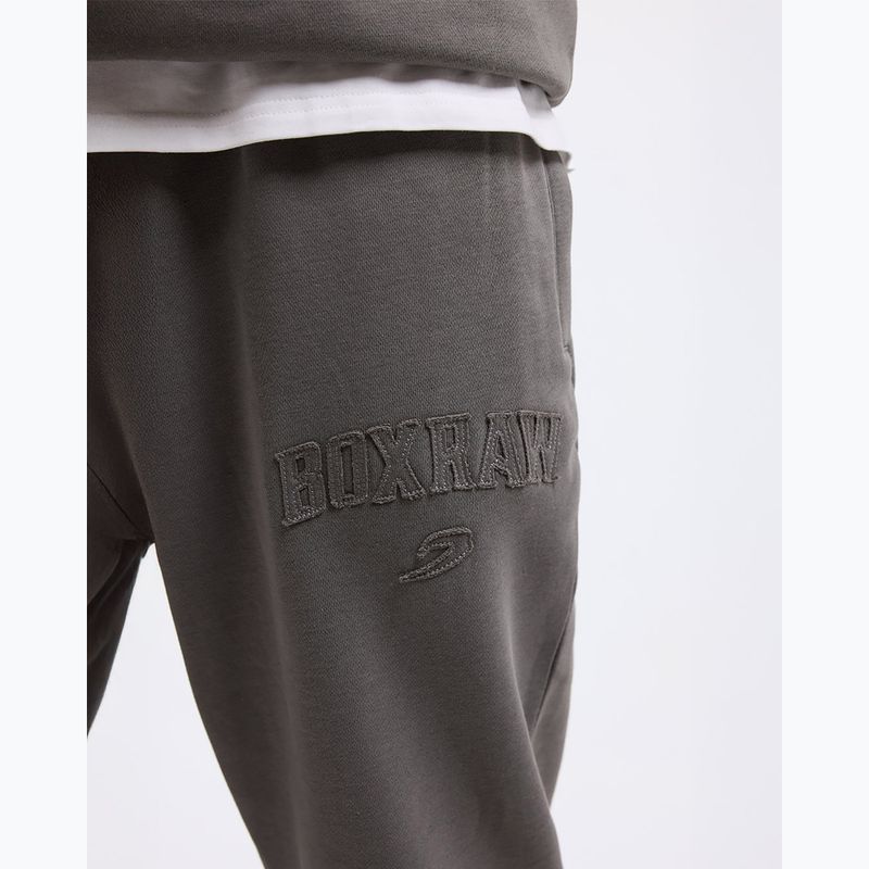 Pantaloni pentru bărbați Boxraw East Street Bottoms distressed grey 10