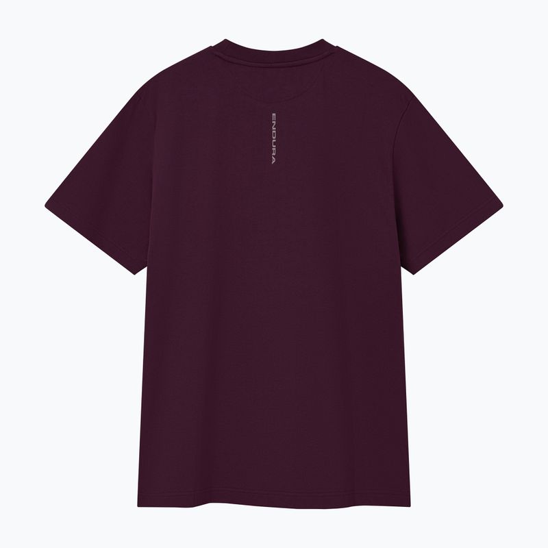 Tricou de ciclism Endura Pedal Power Graphic Tee sage green 2