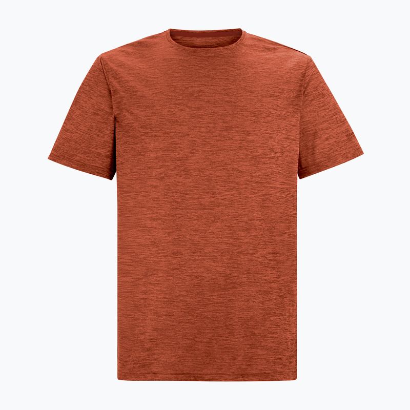 Tricou de trekking pentru bărbați REGATTA Fingal Edition rusty orange 5
