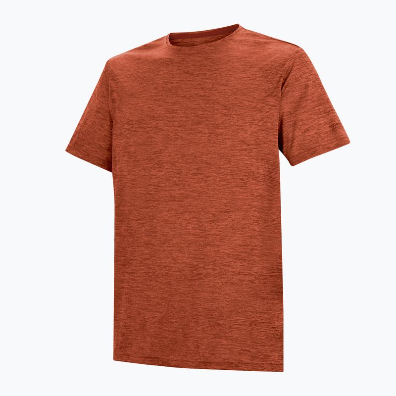 Tricou de trekking pentru bărbați REGATTA Fingal Edition rusty orange 7