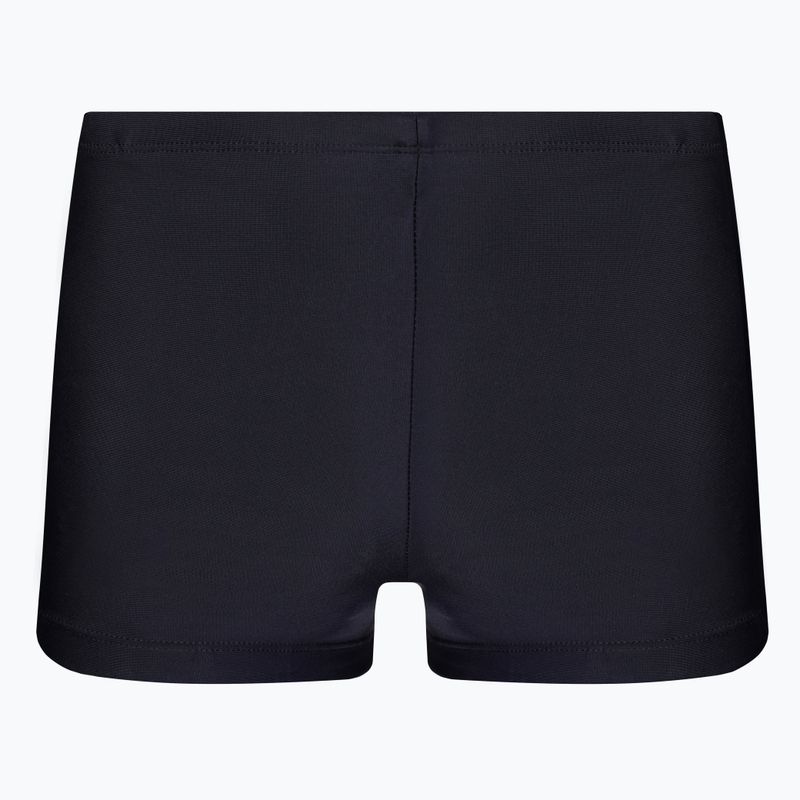 Pantaloni scurți de înot pentru bărbați Nike Liquify Aquashort verde NESSB565