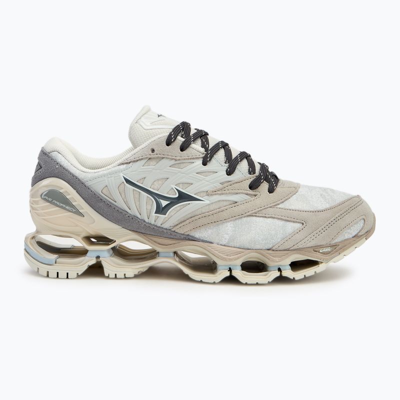 Mizuno Wave Prophecy LS nimbus cloud/magnet/silver cloud pantofi 2