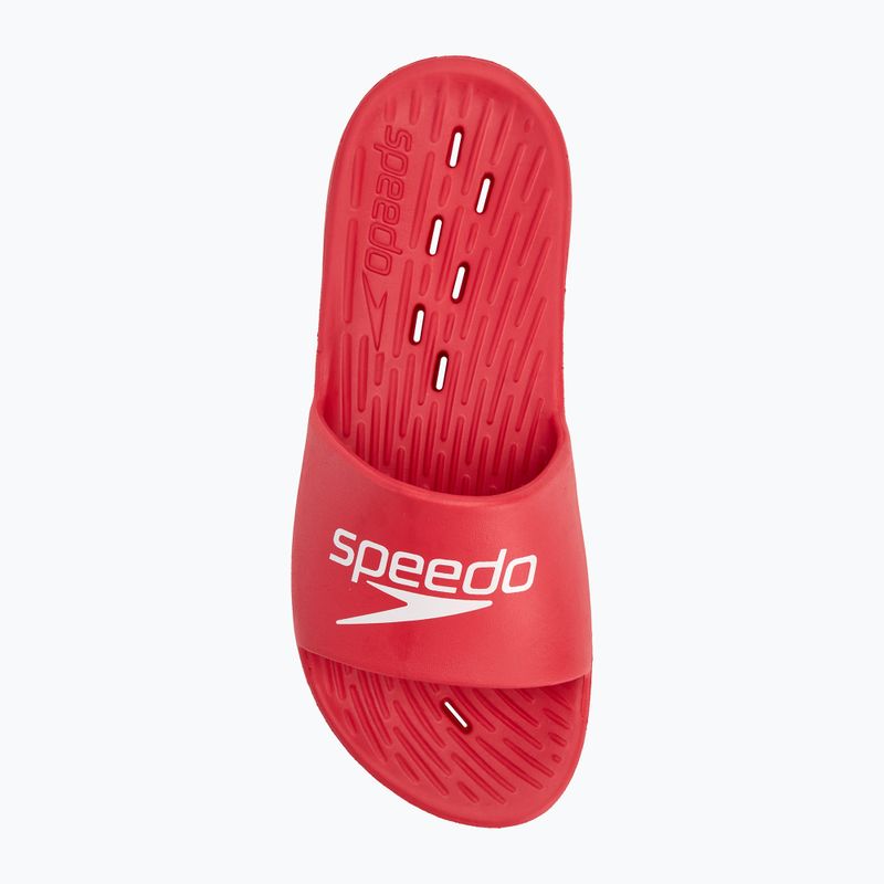 Papuci pentru bărbați Speedo Slide fed red 5