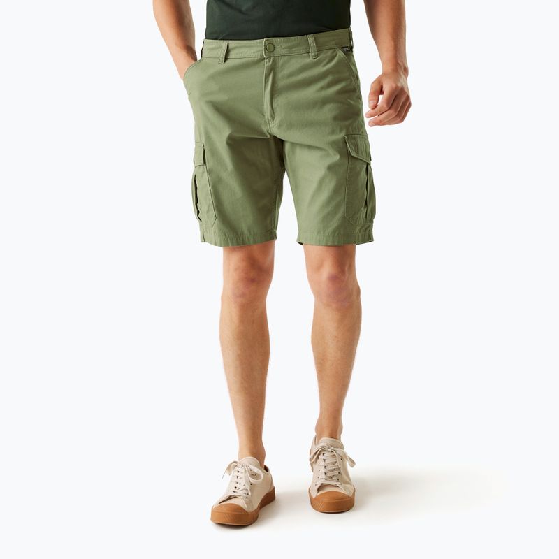 Pantaloni de trekking pentru bărbați REGATTA Ruwan fauna