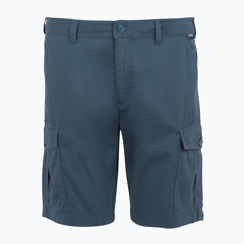 Pantaloni de trekking pentru bărbați REGATTA Ruwan midnight 5