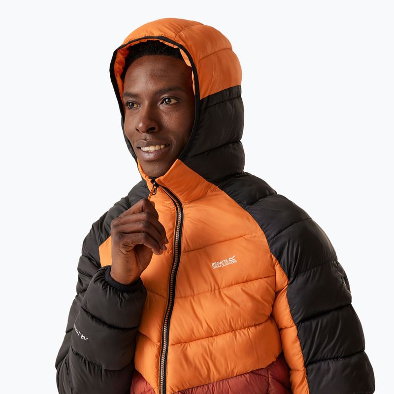 Geacă de puf pentru bărbați  REGATTA Hooded Dalent fox/red ochre 4