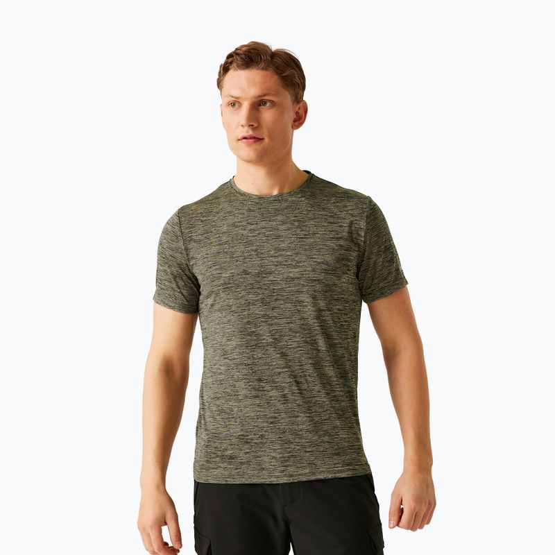 Tricou de trekking pentru bărbați REGATTA Fingal Edition abbeystone