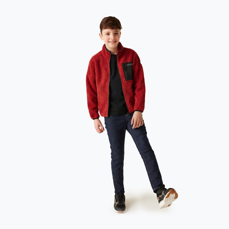 Bluză pentru copii REGATTA Junior Frankie Full Zip red ochre 2