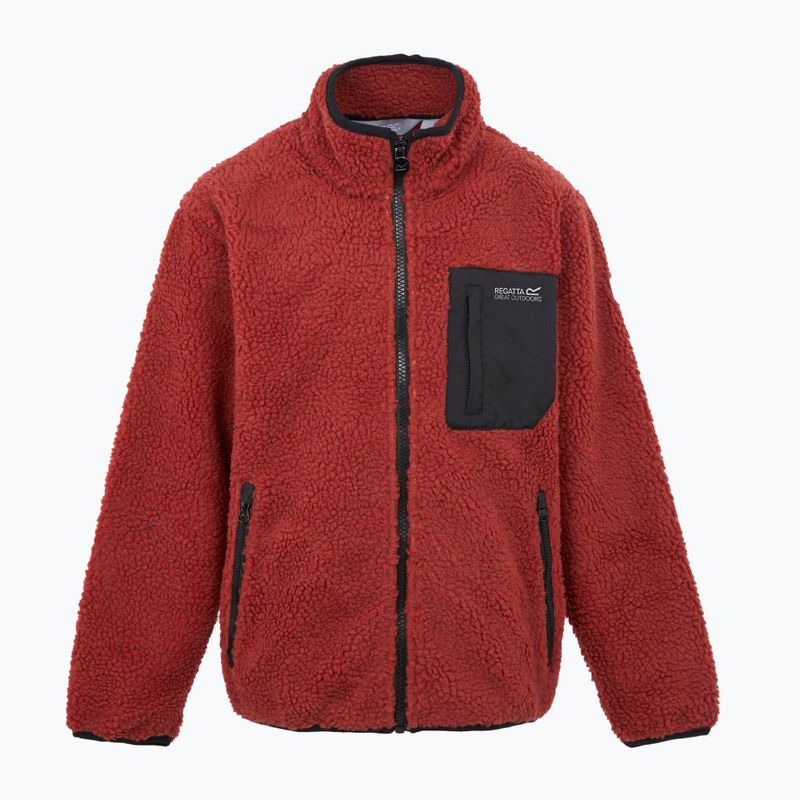 Bluză pentru copii REGATTA Junior Frankie Full Zip red ochre 5