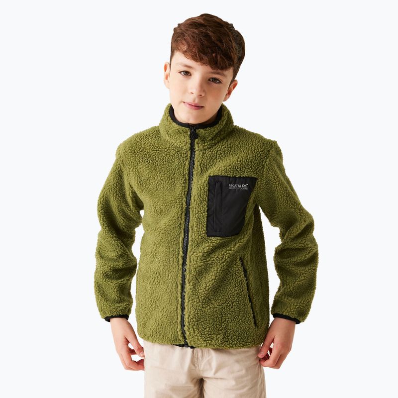 Bluză pentru copii REGATTA Junior Frankie Full Zip nephrite green