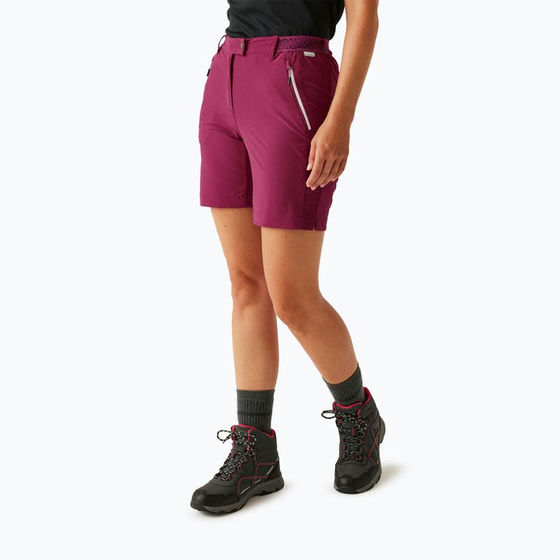 Pantaloni scurți de trekking pentru femei  REGATTA Mountain II beaujolais