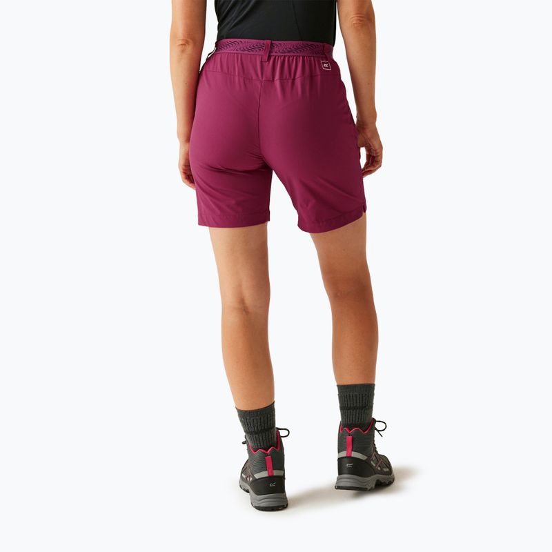 Pantaloni scurți de trekking pentru femei  REGATTA Mountain II beaujolais 3