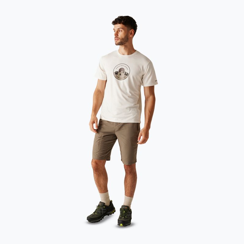 Tricou de trekking pentru bărbați REGATTA Fingal IX stone white 2
