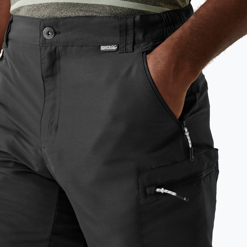 Pantaloni scurți de trekking pentru bărbați REGATTA Leesville III ash 4