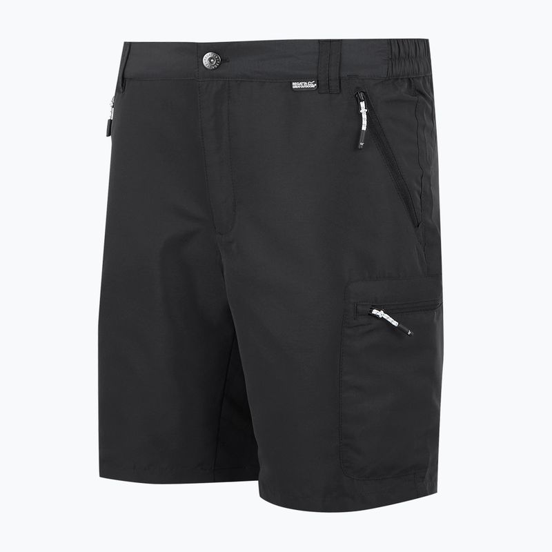Pantaloni scurți de trekking pentru bărbați REGATTA Leesville III ash 7