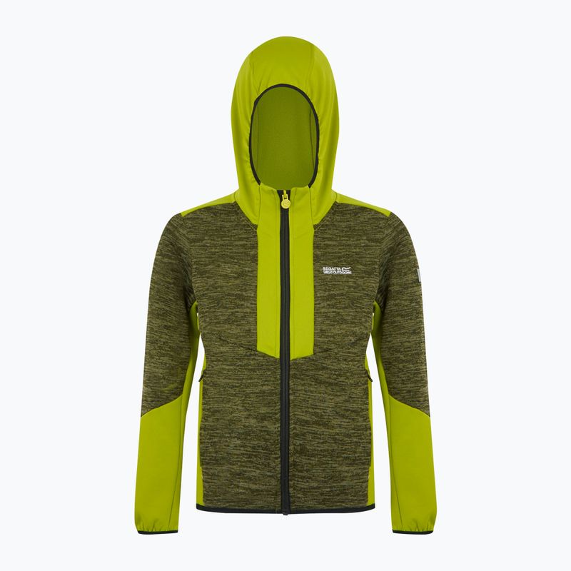 Bluză pentru copii REGATTA Dissolver X nephrite green/grenoble green/black 6