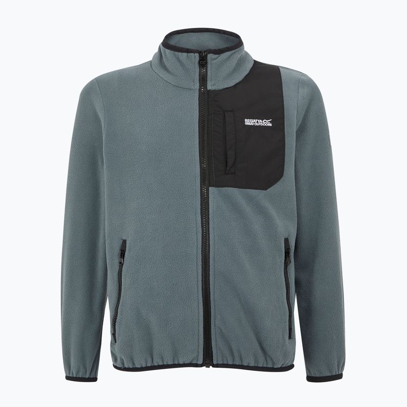 Bluză pentru copii REGATTA Frankie Full Zip stormy weather 5