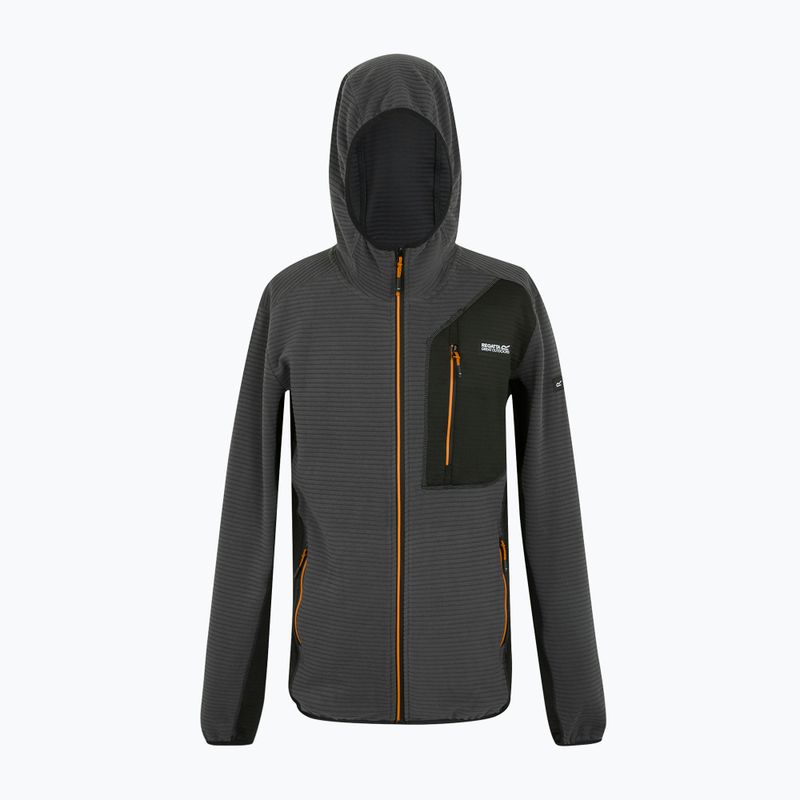 Bluză pentru bărbați REGATTA Lakewright ash/black 7