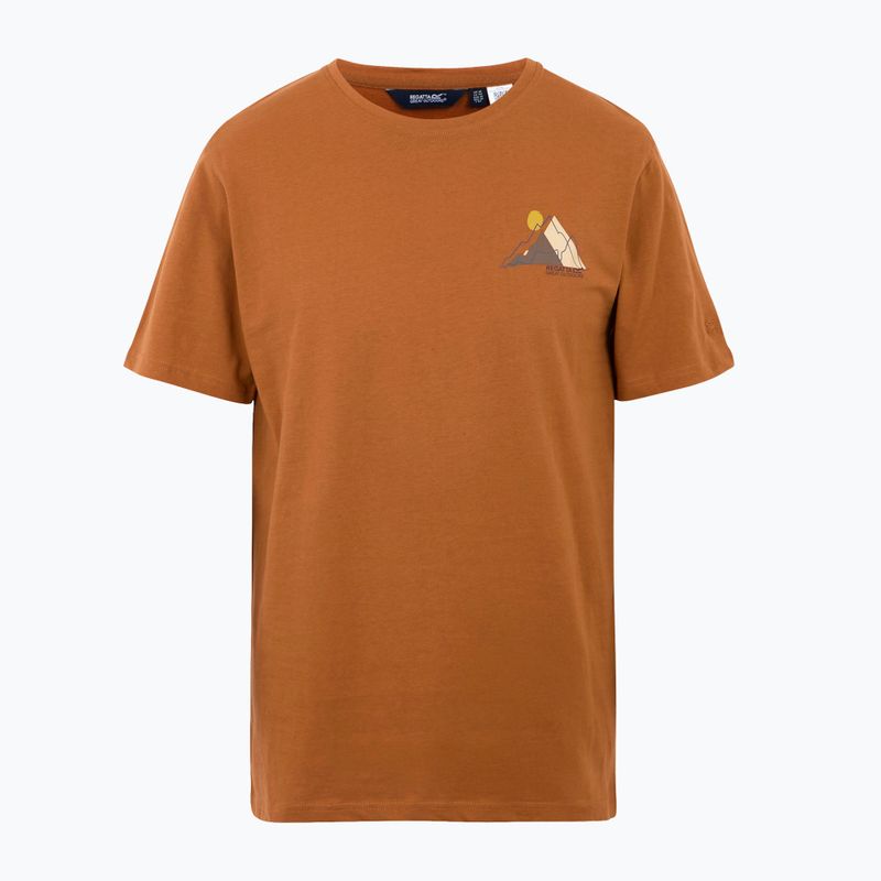 Tricou pentru bărbați REGATTA ClineIX glazedginge 5