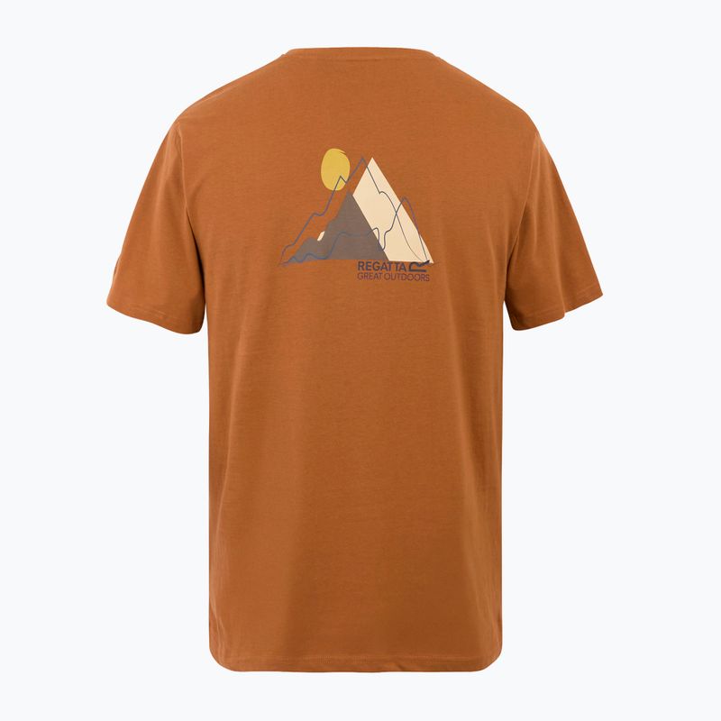 Tricou pentru bărbați REGATTA ClineIX glazedginge 6