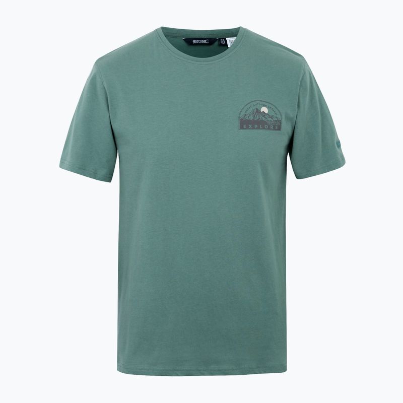 Tricou pentru bărbați REGATTA ClineIX spruce green 6