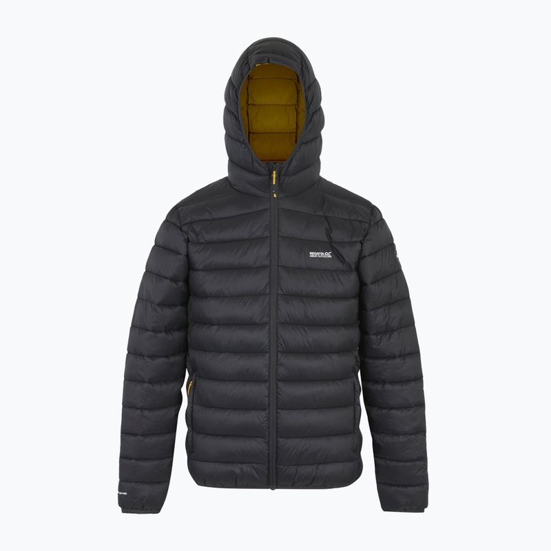 Geacă pentru bărbați REGATTA Hooded Marizion ash/gold 8