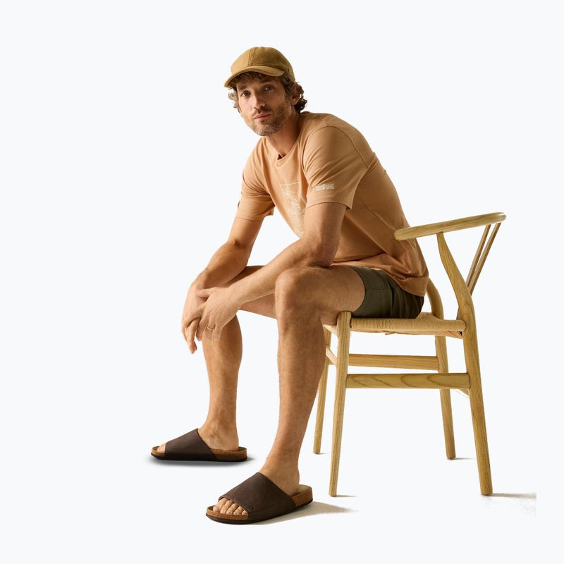 Tricou pentru bărbați Regatta ClineIX Italian clay 4