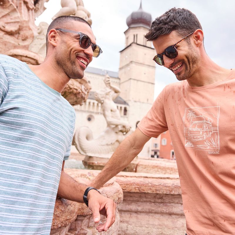 Tricou pentru bărbați Regatta ClineIX Italian clay 9