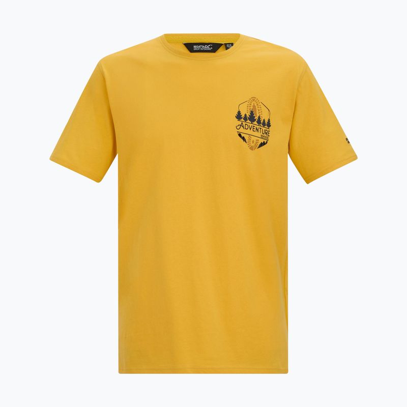 Tricou pentru bărbați Regatta ClineIX ceylon yellow 5
