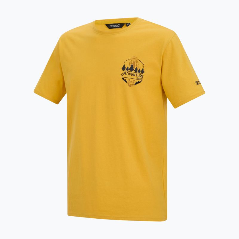 Tricou pentru bărbați Regatta ClineIX ceylon yellow 7