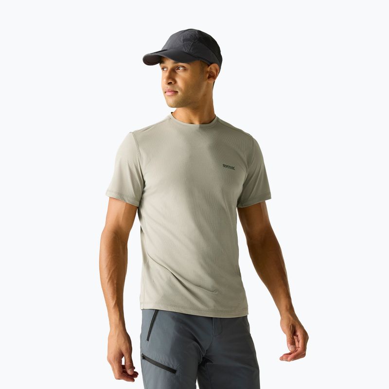 Tricou de trekking pentru bărbați REGATTA Mindoi Anti Insect abbeystone
