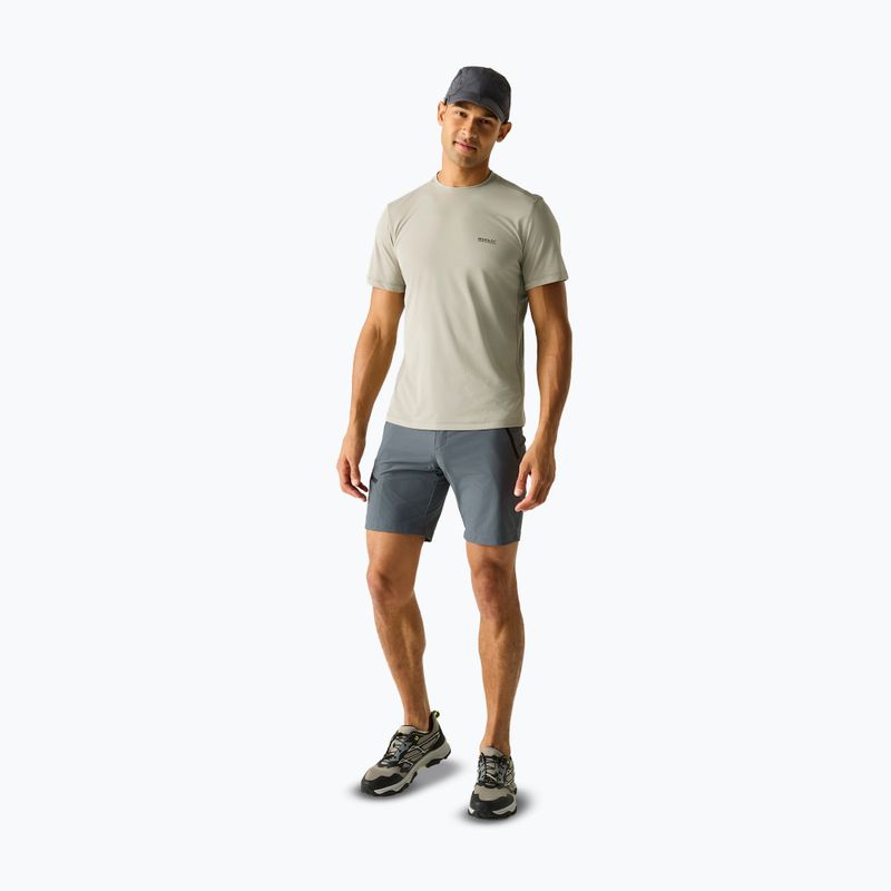 Tricou de trekking pentru bărbați REGATTA Mindoi Anti Insect abbeystone 2